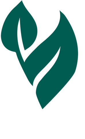 E-Vita Dresden, une technologie primée pour lutter contre les champignons, les bactéries et les virus sur les semences