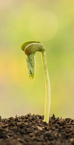 Notre mission - Scientifiquement fondé